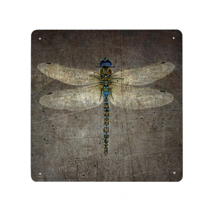 Dragonfly on a Distressed Granite Background print on metal